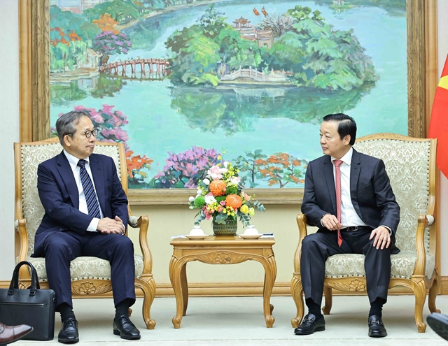 Việt Nam, Japan seek to foster partnership within AZEC framework