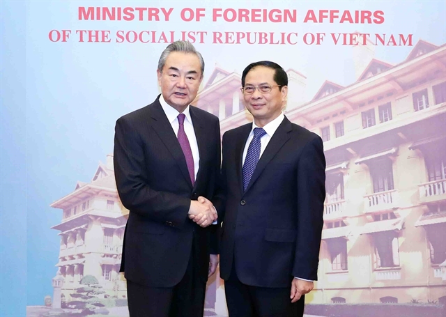 Vietnamese, Chinese Foreign Ministers hold talks