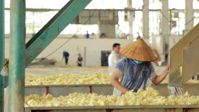 Green Production in Binh Duong