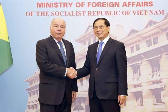 Việt Nam hopes Brazil will promote FTA negotiations