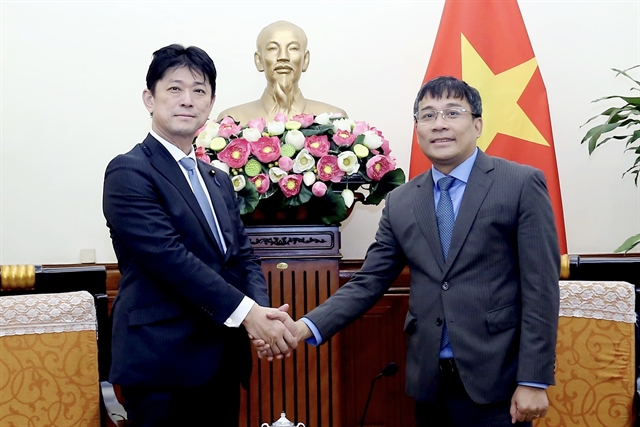 Vietnamese, Japanese Deputy Foreign Ministers hold talks in Hà Nội