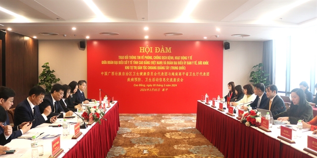 Vietnamese, Chinese localities intensify border health cooperation