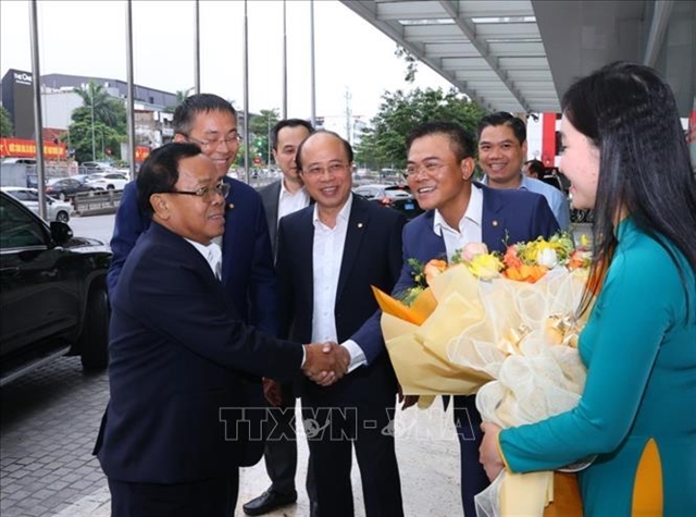 Lao official works with Vietnamese leading enterprises