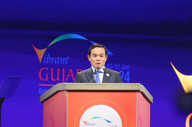 Việt Nam seeks cooperation in India’s strengths