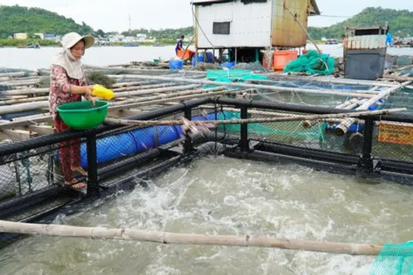 Kiên Giang Province seeks to make aquaculture, fishing environment-friendly