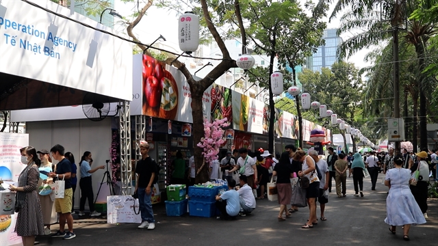 HCM City hosts 9th Japan Vietnam Festival