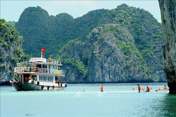 Environmental protection efforts augmented in Hạ Long Bay