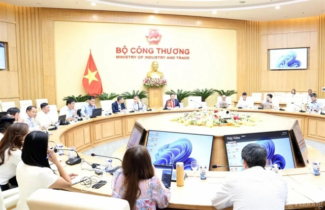 JETP backs Việt Nam’s net-zero target by 2050: Deputy Minister