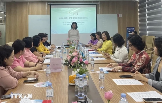 Vietnamese female entrepreneurs strengthen connections