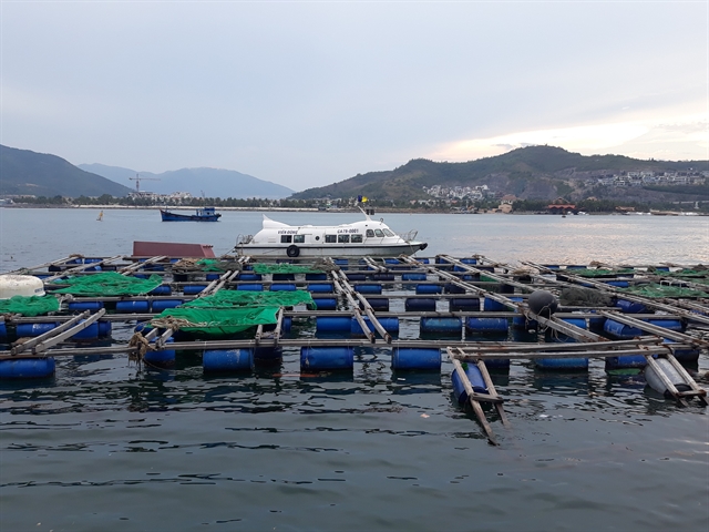 Khánh Hòa seeks green light for $41.1m high-tech marine farming