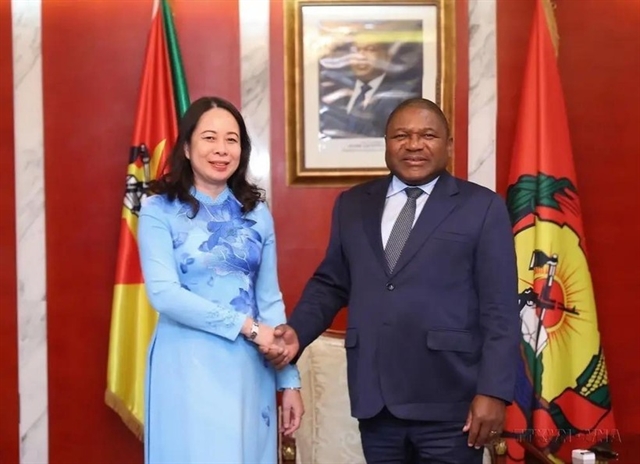 Mozambican President's visit - a milestone in bilateral relations: diplomat