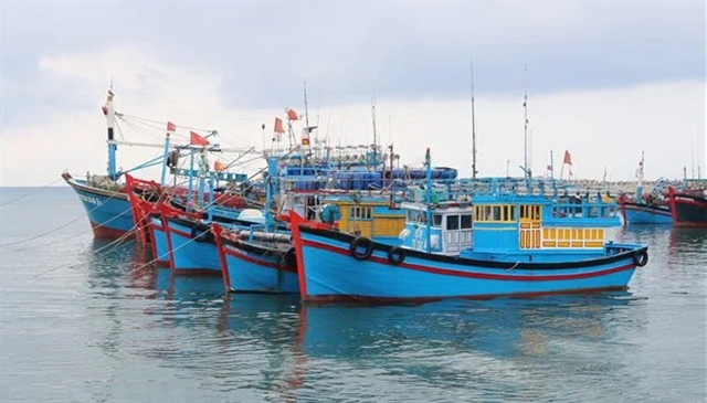 Thanh Hóa takes drastic measures to combat IUU fishing