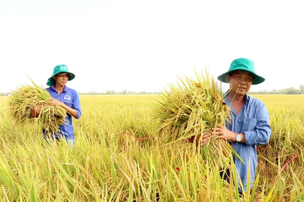 Việt Nam promotes development of green agriculture