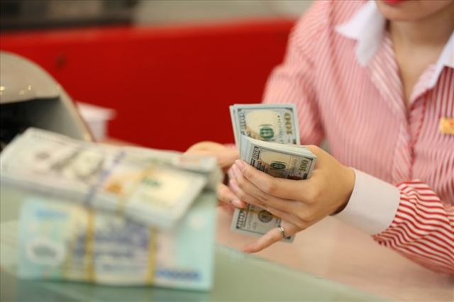 Foreign exchange rate cools rapidly