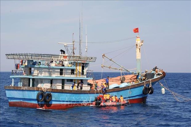 Phú Yên scores achievements in fight against IUU fishing