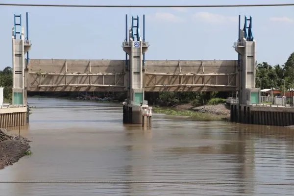 Saltwater intrusion threatens Mekong Delta rice crop