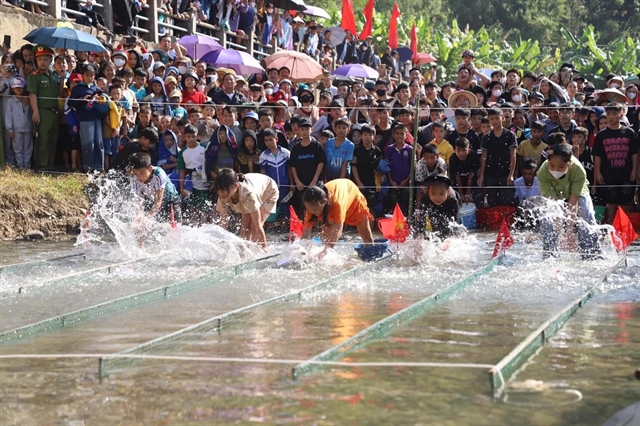 The Fish Tết of Tày people in Hà Giang