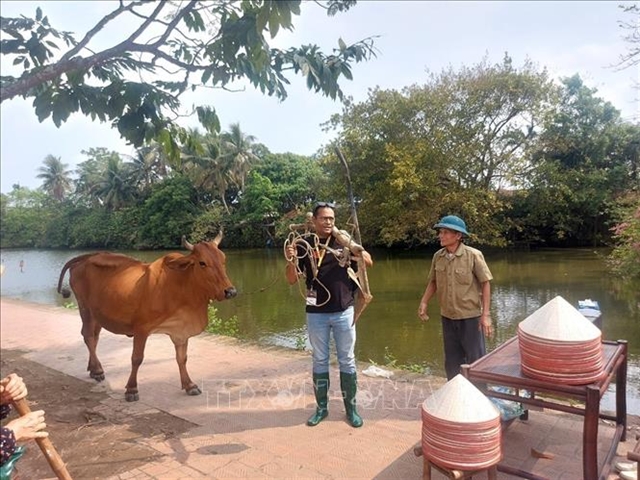 Đường Lâm ancient village charms visitors with farm experiences