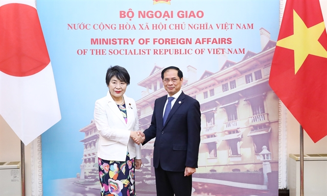 Việt Nam, Japan deepen comprehensive strategic partnership