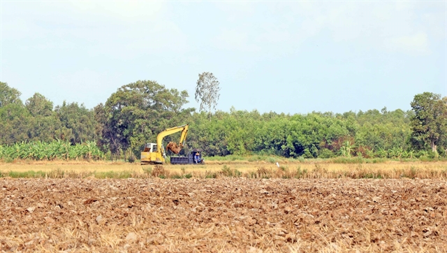 Cà Mau Province agricultural sector braces for harsh weather