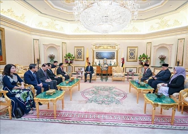 NA Vice Chairman meets with Sultan, Speaker of Legislative Council of Brunei