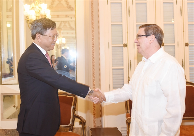 Cuban foreign minister spotlights special relations with Việt Nam