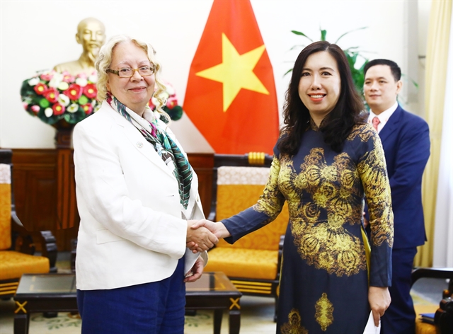 Việt Nam to contribute more to UN, int’l organisations: Deputy foreign minister