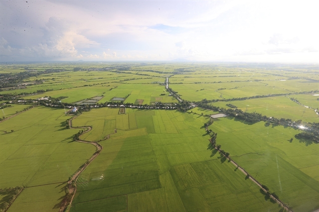 Mekong Delta master plan contributes to ensuring food security