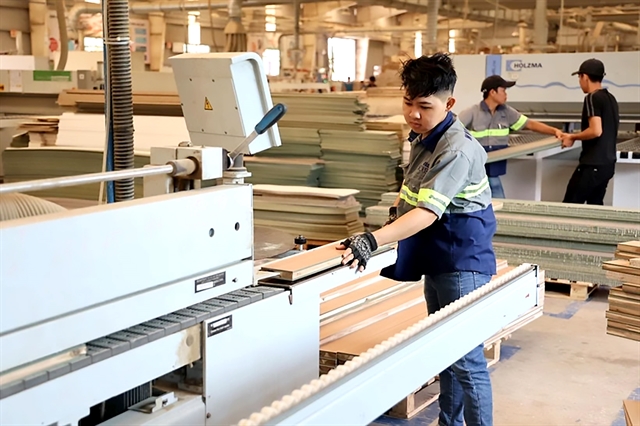 Việt Nam's wood industry strives to match sustainable wood demands