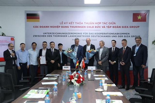 German President’s Việt Nam visit - a testament to close bilateral ties, friendship: former diplomat