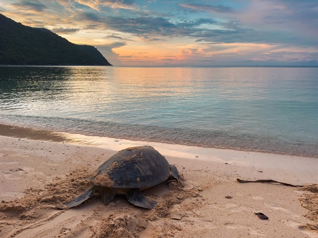 An unforgettable experience in Côn Đảo Archipelago