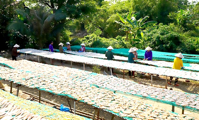 Mekong Delta dried fish making villages busy ahead of Tết