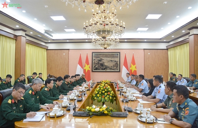 Việt Nam and Indonesia hold 3rd defence policy dialogue