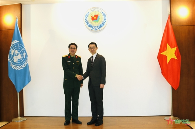 Việt Nam, Japan strengthen cooperation in UN peacekeeping