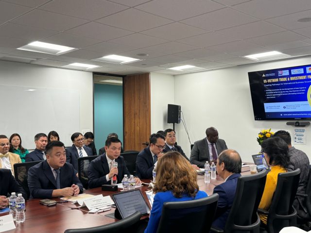 Việt Nam, US seek cooperation opportunities in energy, manufacturing, insurance, finance