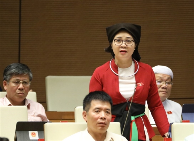 Việt Nam strives to encourage ethnic minority engagement in National Assembly