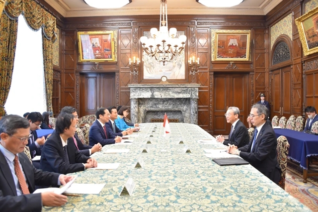 Vietnamese FM meets with Vice President of Japanese House of Councillors