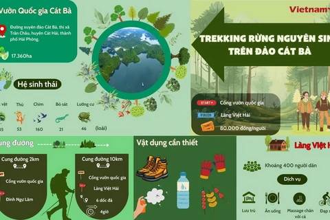 Trải nghiệm cung đường trekking 10km rừng nguyên sinh trên đảo Cát Bà