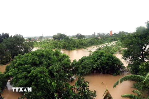 Hưng Yên tập trung đảm bảo an toàn hệ thống đê điều