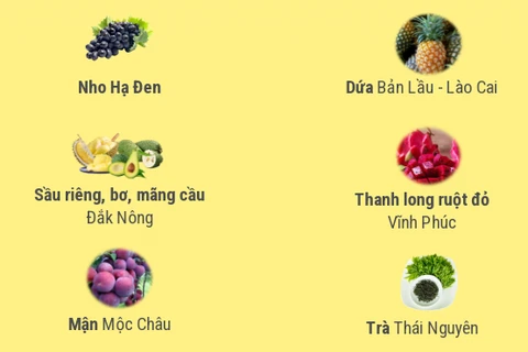 Tuần lễ quảng bá nông sản, trái cây chất lượng cao tại Thủ đô Hà Nội