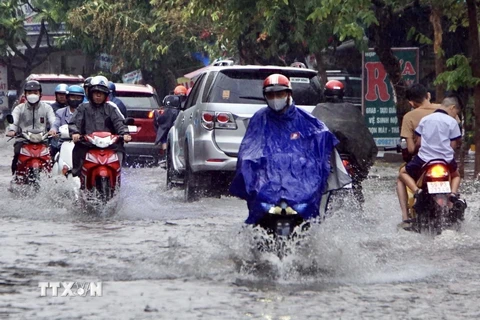 Thành phố Hồ Chí Minh: Mưa như trút nước, nhiều tuyến đường bị ngập nặng