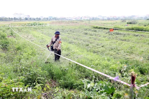 Hỗ trợ đào tạo nghề, giải quyết việc làm cho người bị thu hồi đất