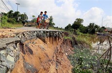 Bến Tre: Bờ sông Giao Hòa bị sạt lở nghiêm trọng, 26 hộ phải di dời