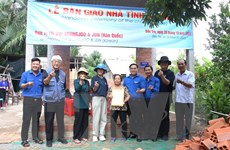 40 thanh niên Hàn Quốc tham gia xây nhà cho người nghèo Bến Tre