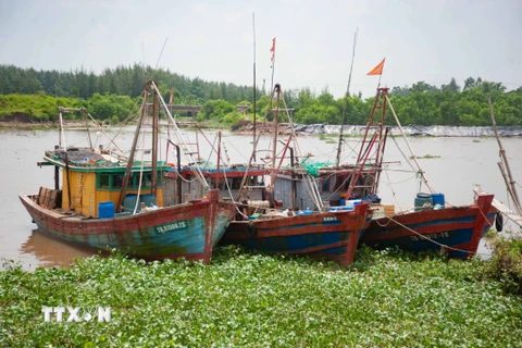 Ninh Bình, Quảng Bình theo dõi chặt chẽ, chủ động ứng phó với bão số 3