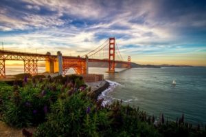 Ngỡ ngàng trước vẻ đẹp “xứ sở sương mù” San Francisco