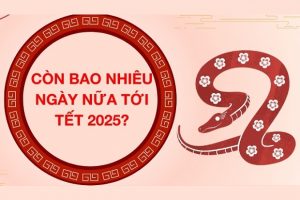 Còn bao nhiêu ngày nữa đến Tết 2025? Đếm ngược Tết 2025 Cùng Vietnam Booking