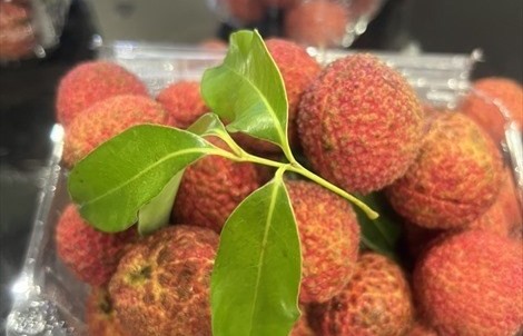 Vietnamese seedless lychees now available in UK market