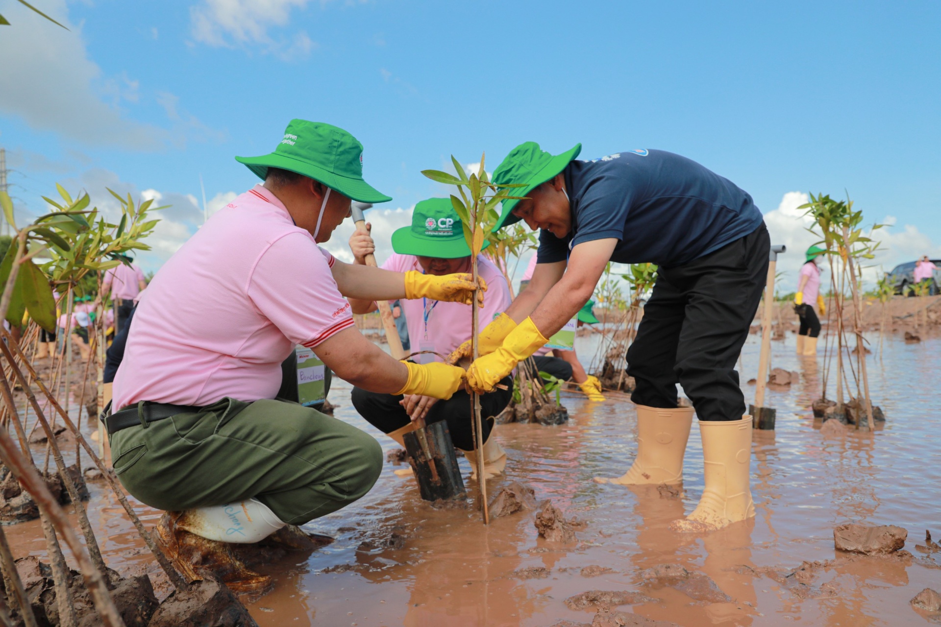 Biodiversity drive at C.P. Vietnam's shrimp farm