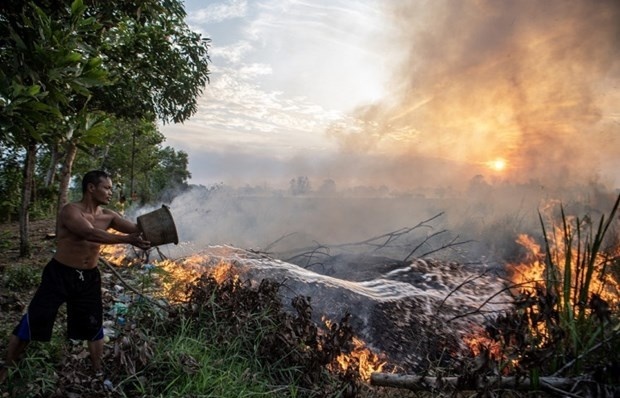 Indonesia discusses solutions to cope with El Nino